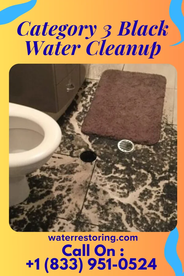 Category 3 Black Water Cleanup in Lloyd Harbor, NY