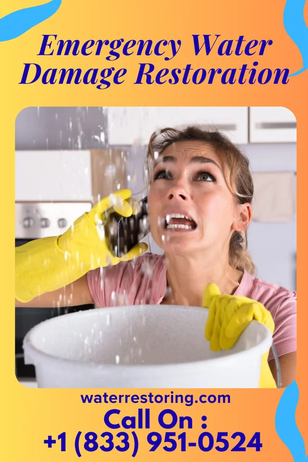 Emergency Water Damage Restoration in Lloyd Harbor, NY
