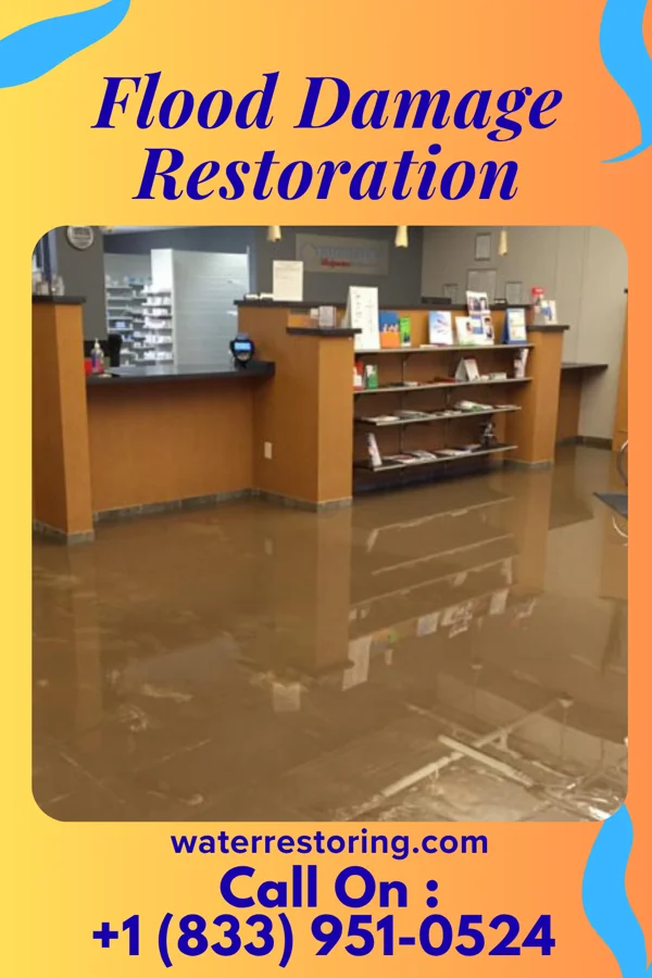 Flood Damage Restoration in Lloyd Harbor, NY