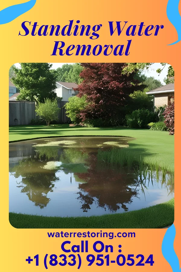 Standing Water Removal in Lloyd Harbor, NY